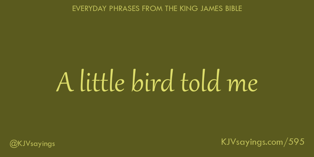 “A little bird told me”