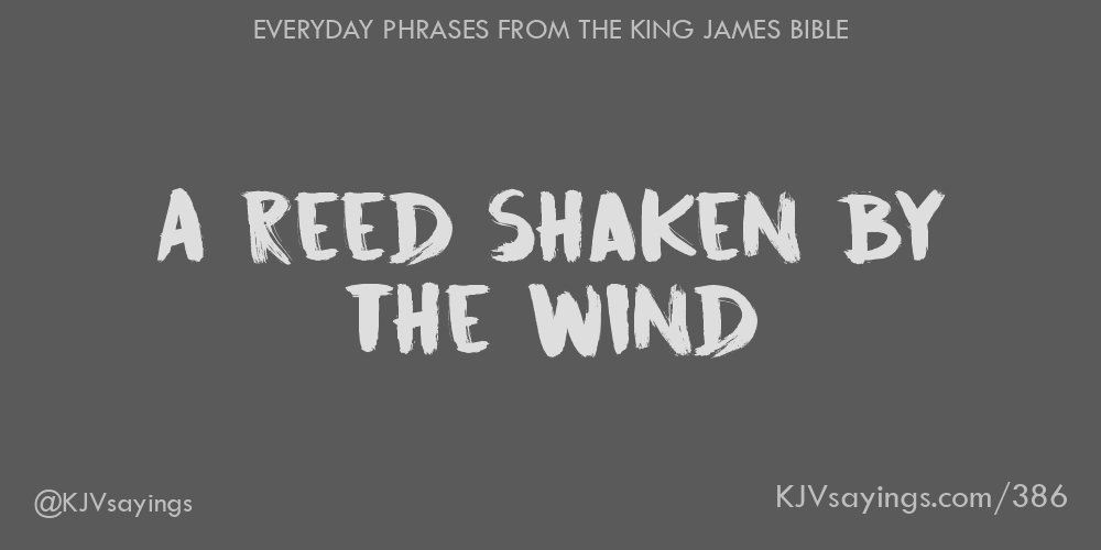 A Reed Shaken By The Wind - King James Bible (Kjv) Sayings