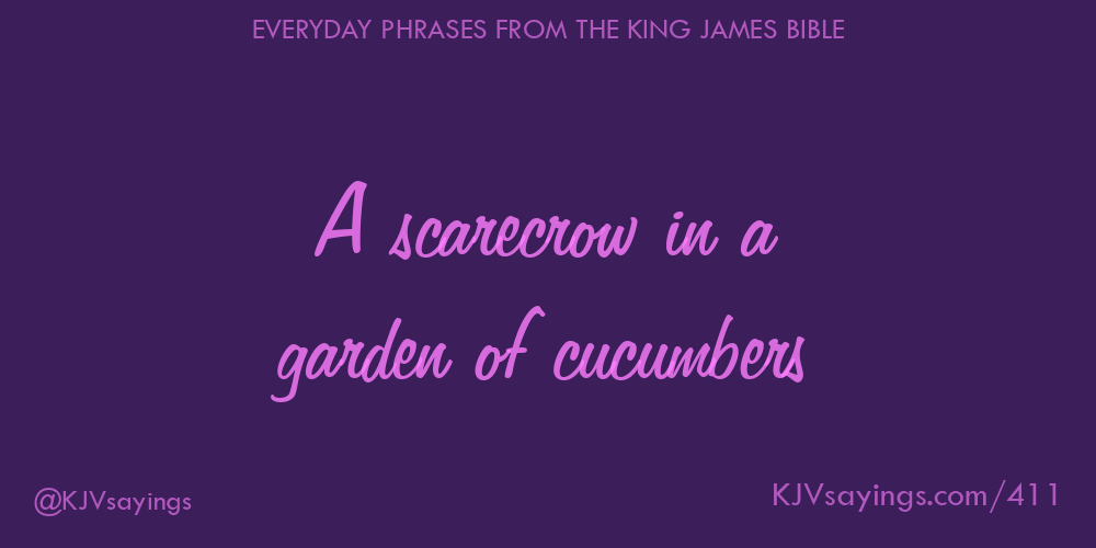 “A scarecrow in a garden of cucumbers”