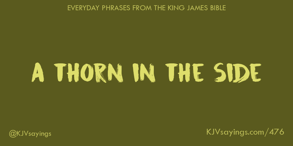 “A thorn in the side”