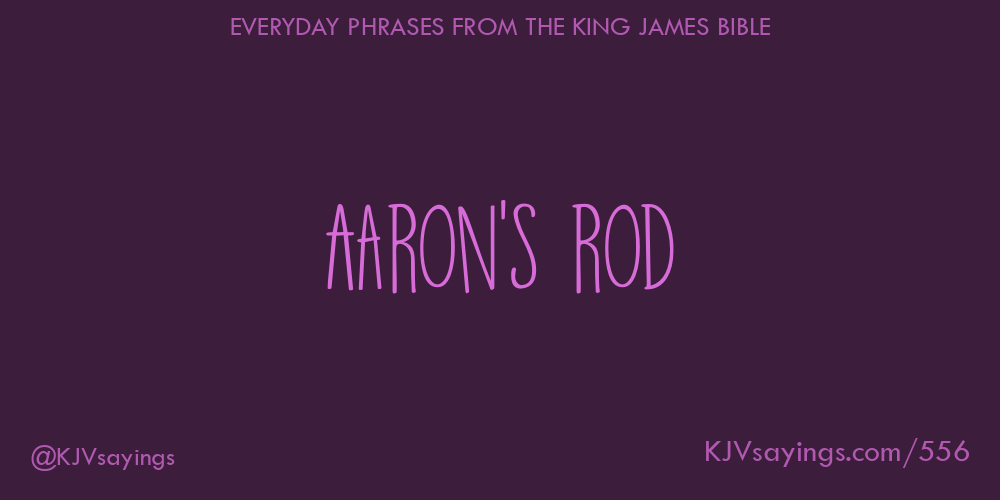 “Aaron’s rod”