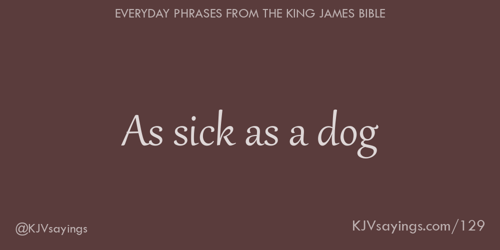 “As sick as a dog”