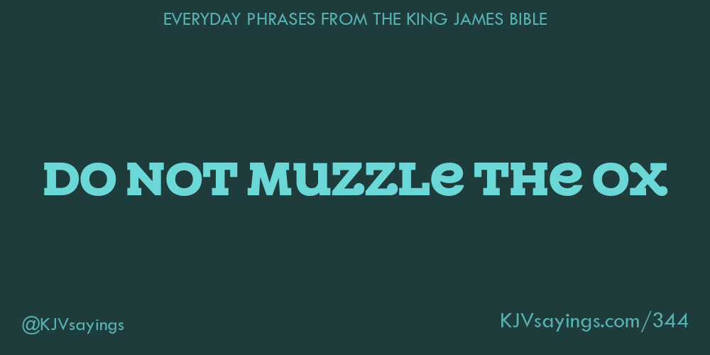 “Do not muzzle the ox”