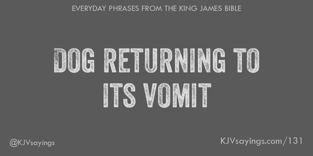 dog-returning-to-its-vomit-king-james-bible-kjv-sayings