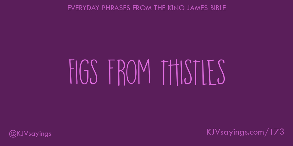 “Figs from thistles”