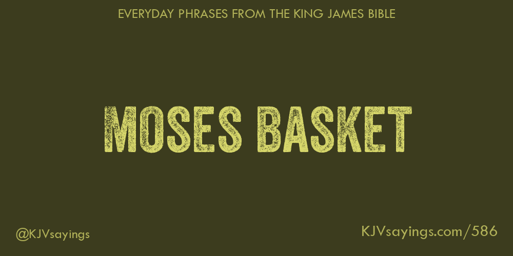 “Moses basket”