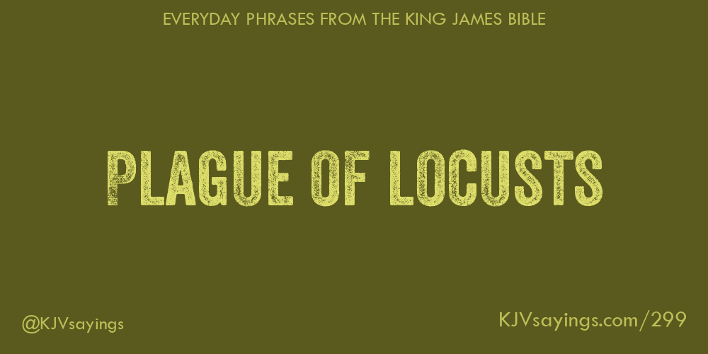 “Plague of locusts”