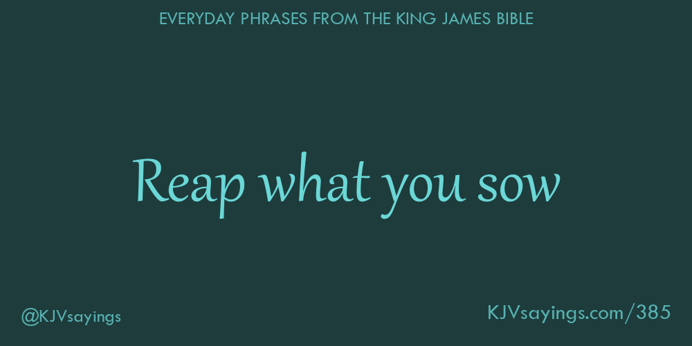 “Reap what you sow”