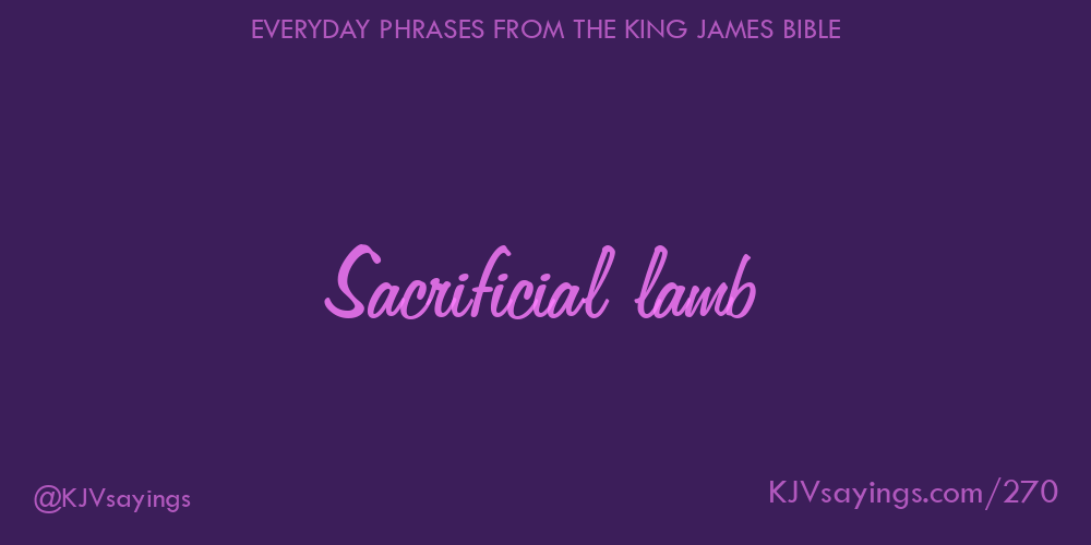 “Sacrificial lamb”