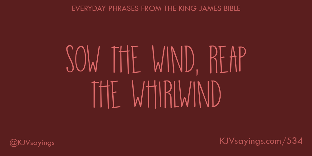 “Sow the wind, reap the whirlwind”