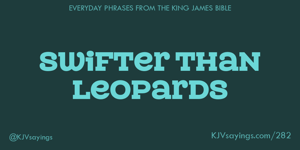 “Swifter than leopards”