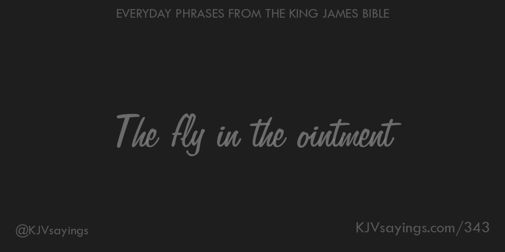 The Fly In The Ointment - King James Bible (Kjv) Sayings