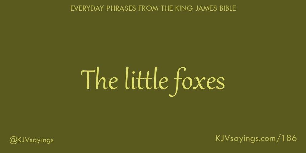“The little foxes”