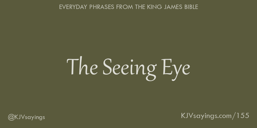 “The Seeing Eye”