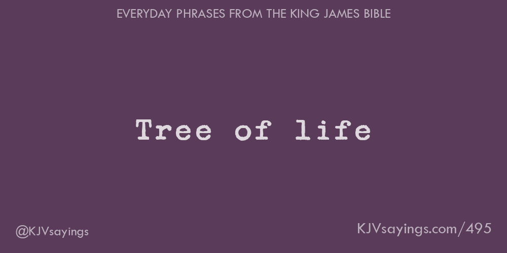 “Tree of life”