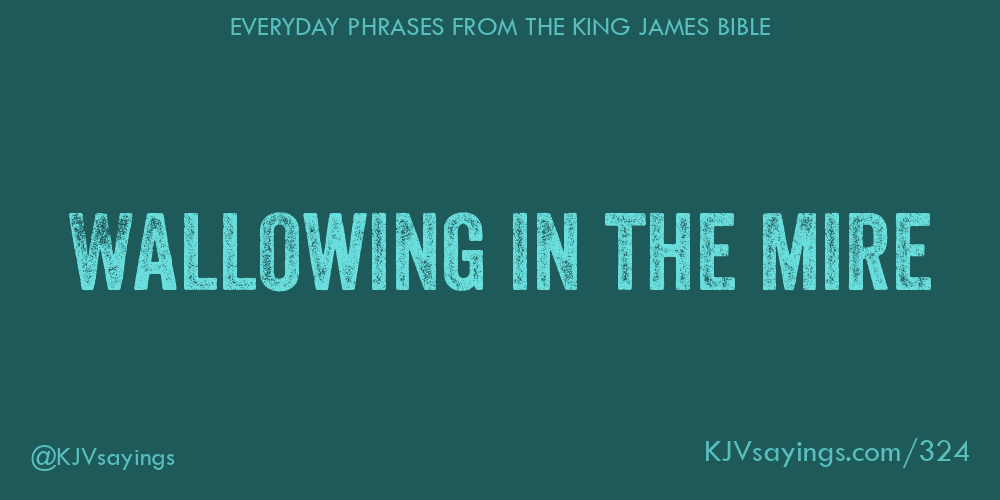 “Wallowing in the mire”